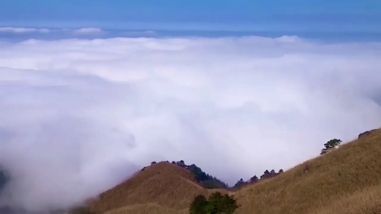 Video 0:04